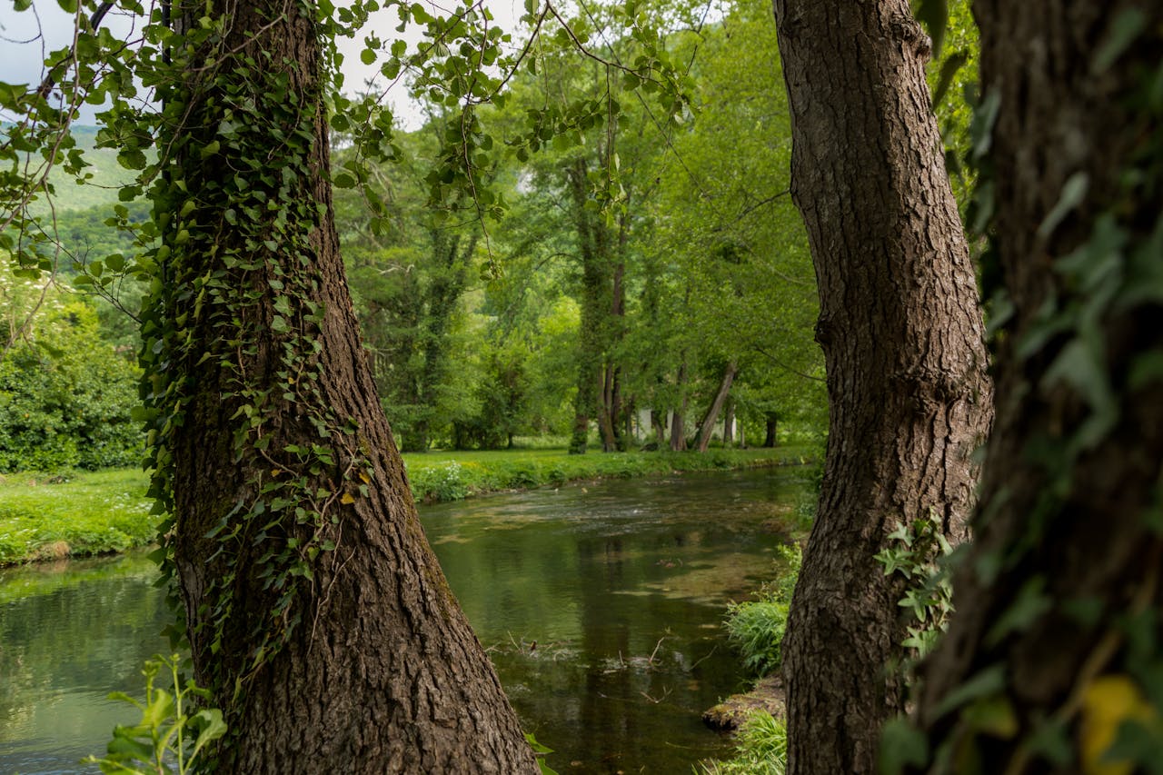 Bewust kiezen voor intentioneel leven: meer rust en betekenis